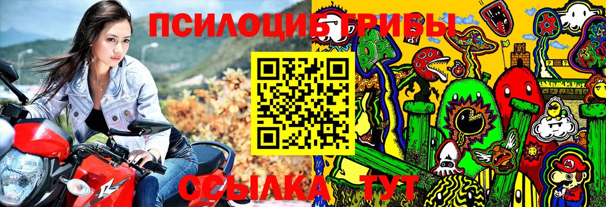 Балтийск  Галлюциногенные грибы Magic Shrooms  Вход с VPN 
