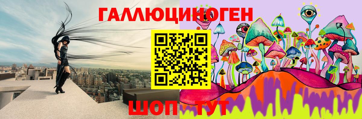 Псилоцибиновые грибы Psilocybine cubensis Балтийск